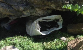 Şırnak'ta PKK'ya ait patlayıcı ve mühimmat ele geçirildi