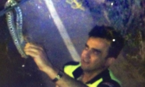 Polis, tırın sileceğine dolanan yılanı eliyle aldı