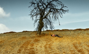 Nuri Bilge Ceylan'ın yeni filmi 'Ahlat Ağacı'ndan ilk fragman