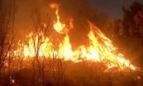 Muğla'da 20 hektar ormanlık alan yangında zarar gördü