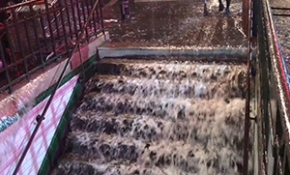 Eylemlerle sarsılan Paris'i bu kez de yağmur ve dolu vurdu