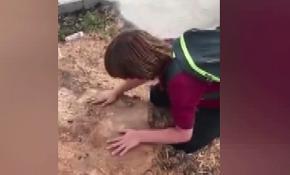 Ağacı kesilen çocuk gözyaşlarını tutamadı