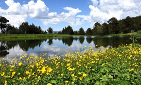 Yeşilin farklı tonlarıyla huzur veren Gümüşhane yaylaları