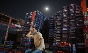 Hayatın tersine yaşandığı yer; "Ataşehir Meyve ve Sebze Hali"