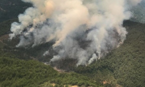 Hatay'da çıkan orman yangını kontrol altına alındı