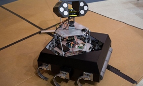 Hamam böceği, robot için ilham kaynağı oldu