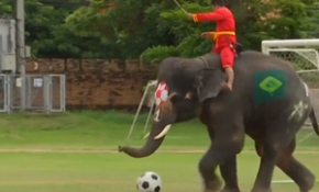 Filler insanlarla yaptığı maçı 2-1 kazandı