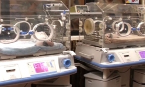 2018'in ilk ikiz pandaları dünyaya geldi