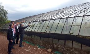 Antalya'da şiddetli yağış seralara zarar verdi