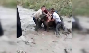 Niğde'de sele kapılan eşeği vatandaşlar kurtardı