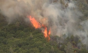 California'da çıkan yangın nedeniyle 3 bin kişi tahliye edildi