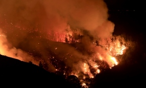 California'nın kuzeyinde orman yangını: 3 bin kişi evlerini terk etti
