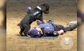 Patileriyle kalp masajı yaptı