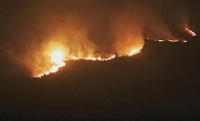 İngiltere'deki orman yangını yerleşim bölgelerine ulaştı