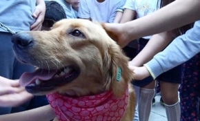 Hayvan sevgisi okullarda başlayacak