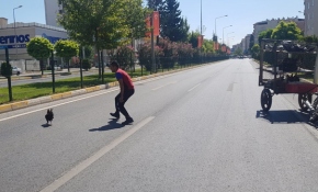 Motosiklet sürücüsü karayolunda tavuk kovaladı