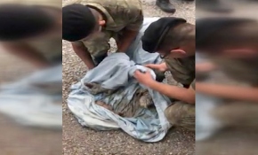 Boğulmak üzere olan köpek yavrularının imdadına Mehmetçik yetişti