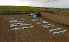 Gezgin arıcılar için Edirne vazgeçilmez durak