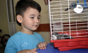 3 yaşındaki çocuğun bulduğu yaralı kuş tedaviye alındı