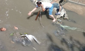 Su kanalında can pazarı