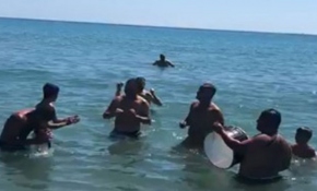 Denizde davul zurnalı eğlence