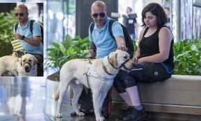 Rehber köpeği gazinin kaybettiği gözleri olacak