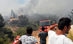 Bodrum'da otluk ve makilik alanda yangın