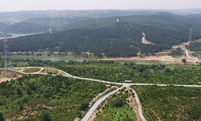 Avrupa Yakası Uluslararası Kent Ormanı için geri sayım başladı