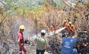 Antalya'da orman yangını