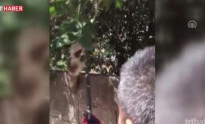 Tellere takılan kediyi itfaiye kurtardı