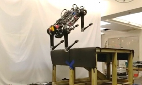 Robot çita kör olmasına rağmen tüm engelleri aşıyor