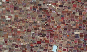 Antalya'da tarlalar halı açtı