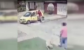 Sürücü adayı, eğitmeni canından ediyordu