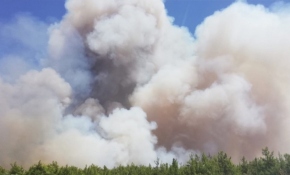 Antalya'da orman yangını