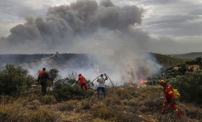 Yunanistan'ın başkenti Atina'da yangın