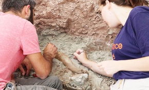 Çankırı'da 8 milyon yıllık fosiller gün yüzüne çıkarılıyor