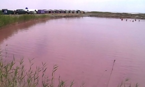 Ukrayna'nın doğal pembe kaplıcası: Lemuriyske Gölü