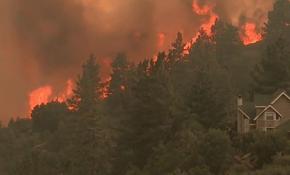 Yunanistan'ı yasa boğan yangının sarsıcı görüntüleri