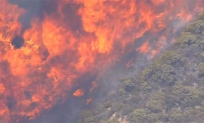California'da yangın hala kontrol altına alınamadı: 1 ölü, 3 yaralı