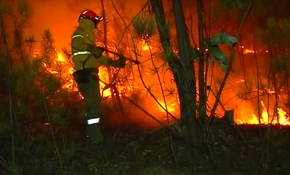 İtfaiyeciler Portekiz-İspanya sınırında çıkan yangını söndürmeye çalışıyor