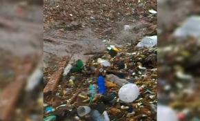 Meksika Cabo San Lucas sahili plastik atıkla doldu