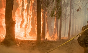 California'daki yangın bölgesinde olağanüstü hal ilan edildi