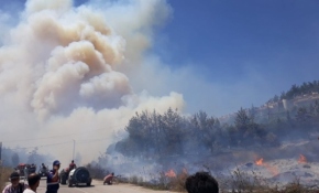 Bursa'da orman yangını