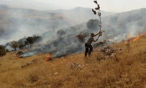 Piknikçilerden kalma küller az daha beldeyi yakıyordu
