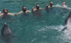 Yunuslar vatandaşlarla horon oynadı