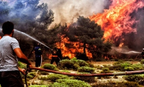 Yunanistan Eğriboz Yarımadası'nda orman yangını