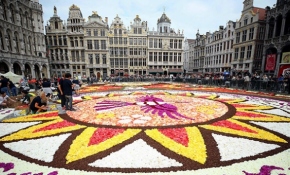 Brüksel Grand Palace meydanına 500 bin çiçekli dev halı