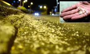 Kelebeklerin "ölüm uçuşu" görsel şölene dönüştü