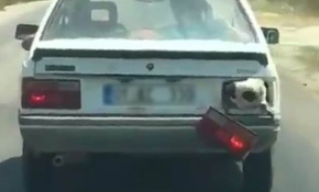 Bagajda taşınan koyunun nefes alması için ilginç çözüm