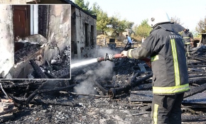 Anne kedi, yavruları için yanan binanın önünden ayrılmadı